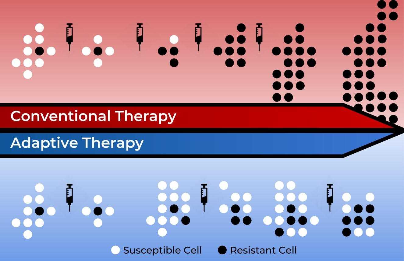 An image of adaptive therapy in action.